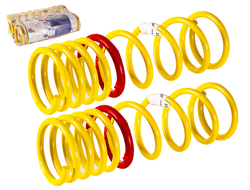 Пружины задние Фобос ВАЗ 2110, 2170 занижение -40 мм спорт(2шт)