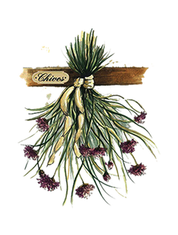 ТРАВЫ, КОРНИ, ПЛОДЫ, СЕМЕНА