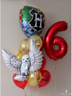 Набор Букля сова и Гарри Поттер