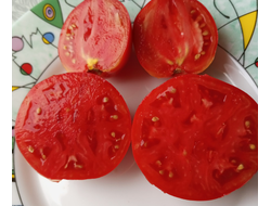 Томат Июнь розовый (June Pink)