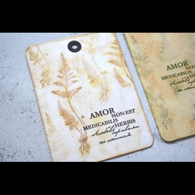 ФП  штамп "Папоротник серебристый"