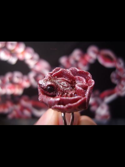 Парадное кольцо &quot;Дикий сербарин и лягушка&quot;