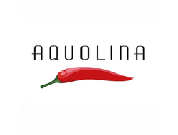 Логотип Aquolina логотип бренда Aquolina, логотип парфюмерии Aquolina