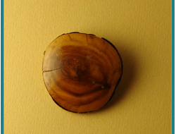 Кольца судьбы