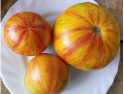 Гном Конфетти (Dwarf Confetti)