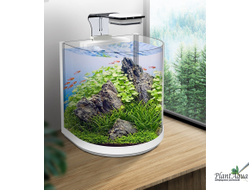 Аквариум Atman BGT-30 белый, 16 литров (304х230х290 мм)