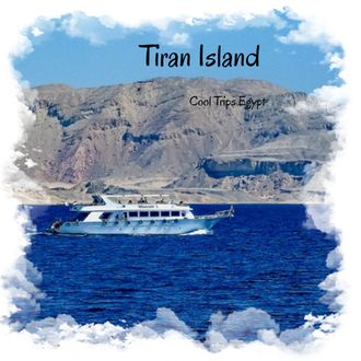 Sea trip near Tiran Island (with the possibility of diving for beginners) from Sharm El Sheikh