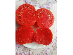 Томат Червен Градински (Cherven Gradinski, Болгария)