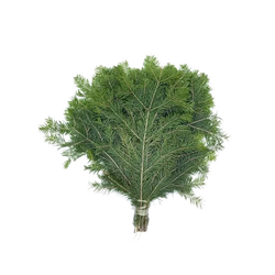 Лапник из пихты