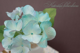 Гортензия из зефироного фоамирана Катерины Печенкиной. Использован молд "Лепестки гортензии"