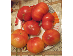 Томат Грейпфрут