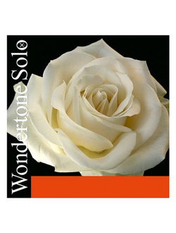 Pirastro Wondertone Solo violin G