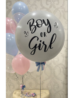 Гендер шар Boy or Girl (белый)