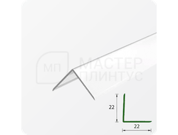 УГОЛ ДЕКОРАТИВНЫЙ 10Х10 УП 01-27.2700.501Л СЕРЕБРО (матовый)