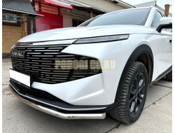 Защита переднего бампера Папа Тюнинг d53 для HAVAL F7 2024-