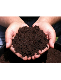 ТОРФ ВЕРХОВОЙ КИСЛЫЙ (60л.)