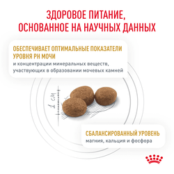 Royal Canin (Роял Канин) Urinary S/O Сухой корм для кошек при мочекаменной болезни, 350 г