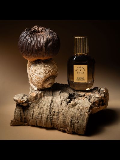 Astrophil &amp; Stella духи IN EXTREMIS