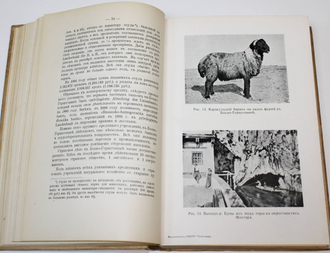 Крюков Н.А. Славянские земли. Том 1: Юго - западный район.  Пг.: Тип. В.Ф.Киршбаума, 1914.