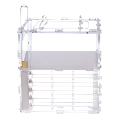 Формикарий 4ants Crystal L pro + колония Messor Structor