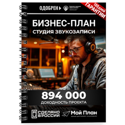 Бизнес-план для социального контракта Студия звукозаписи.