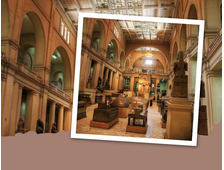 KAIRO MIT DEM BUS AB MARSA ALAM – STANDARD-PROGRAMM