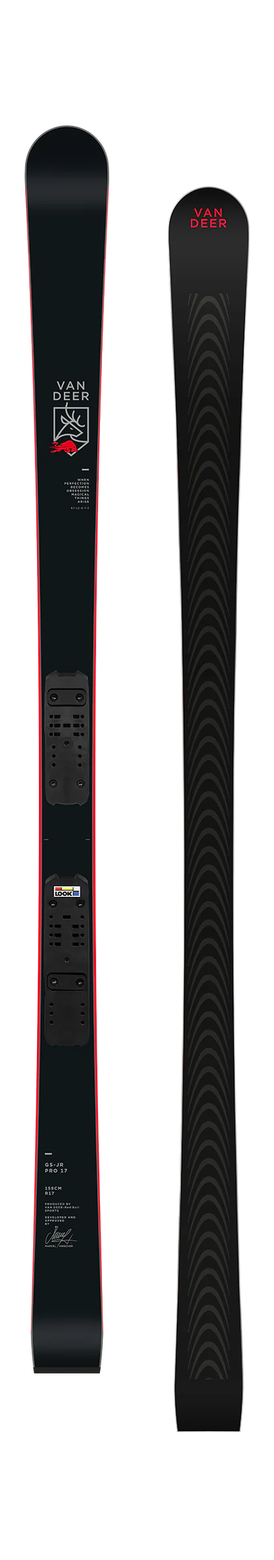 Горные лыжи юниорские Van Deer GS-JR PRO 164cm R18 с платформой Look R21 PRO