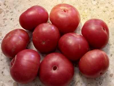 Томат 1884 фиолетовый (1884 Purple, Канада)