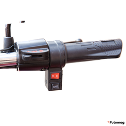 Грузовой электротрицикл Rutrike Антей PRO 1500 темно-зеленый