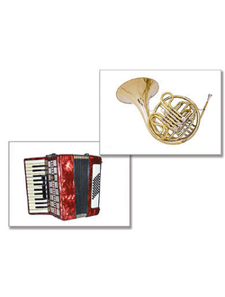 Дидактическое пособие "Музыкальные инструменты" (24 карт., А4, ламинир.)