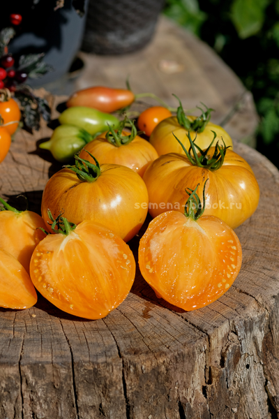Томат Дынный Ликёр, 10 шт