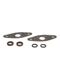 Комплект прокладок RAVE клапана SPI 09-719114 для снегоодов BRP LYNX/Ski-Doo SUMMIT 500/X 670/600/700/800, MX Z 500/600/700/800, Skandic SUV/WTLC/WT/SWT 500/500F/600