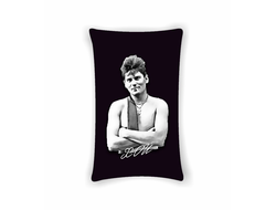 Подушка Сектор Газа, Юрий Хой №55