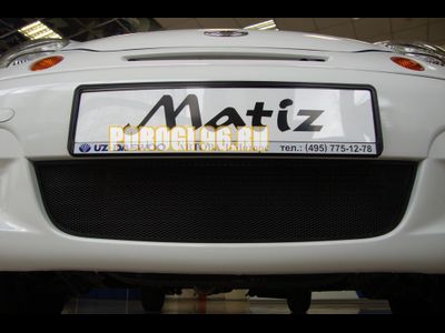 Защита радиатора Daewoo Matiz black