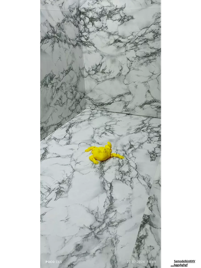 Лягушка