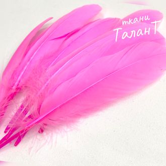 Перо Гусиное, цв. Розовый