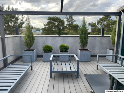 Можжевельник СкайРокет 2 метра