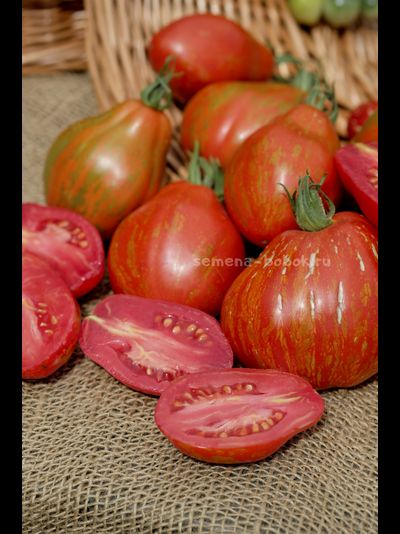 Томат Огненный шар (Palla di fuoco), 10 шт