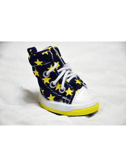 Кеды для собаки Звезды