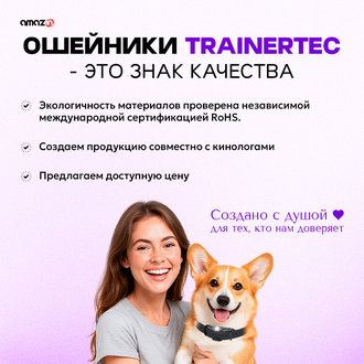 Электронный ошейник для собак DT4200