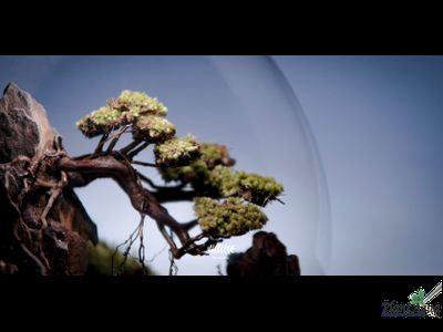 Биобутылка Biolark LED PD 170 (175мм х 195мм)