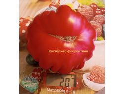 Томат Костолюто Фиорентино (Costoluto Fiorentino)