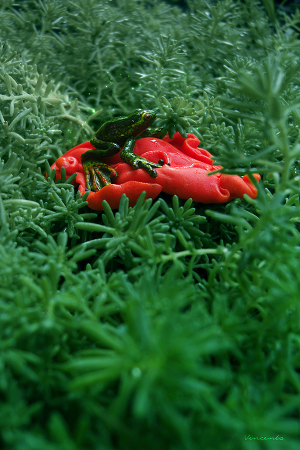 Яркая, эффектная брошь в виде тропической лягушки на лепестке экзотического красного цветка