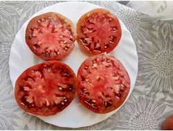 Томат Гном Малиновая нерка (Dwarf Crimson Sockeye)