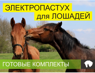 Купить электропастух для лошадей, цена на электропастух для жеребят в ...