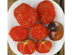 Томат Чупа чупс красный (Chupa Chups red, USA)