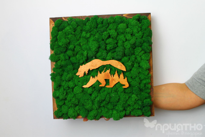 ЖИВАЯ ЭКО-КАРТИНА 1028