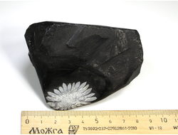 Хризантемовый камень, Целестин на аргиллите, Китай (85*65*45 мм, вес: 335 г) №25188