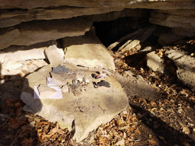 Экскурсия на теплоходе до Кольцовских пещер