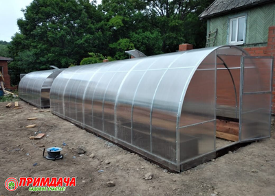 Теплица «Дачница Усиленная» 3*8 м. Сотовый поликарбонат 6 мм.